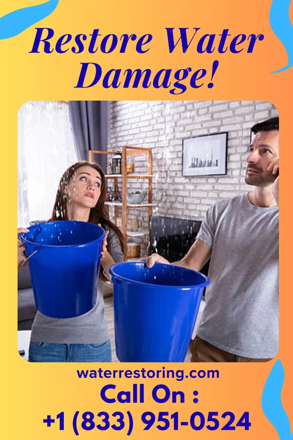 water restoration Zenith Water Damage Solutions Boy River