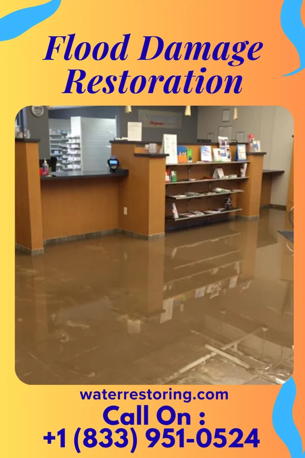 Flood Damage Restoration in Boy River, MN